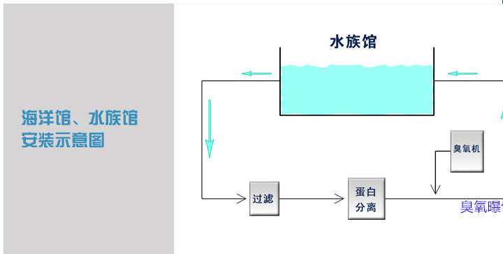 1611197008511767.png image.png