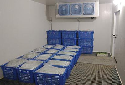 1611201499564364.png image.png