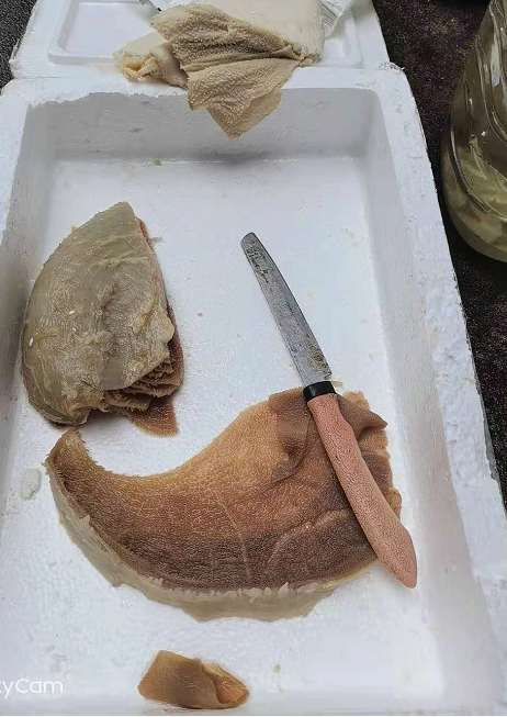 1611285173817237.png image.png