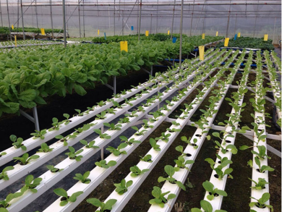 1614820092678809.png image.png